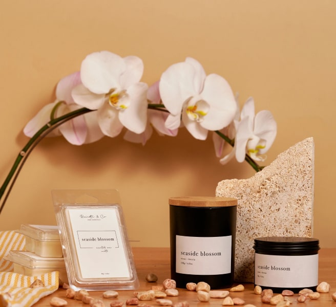 Brighten your home and life with the captivating scents of Reinette and Co.